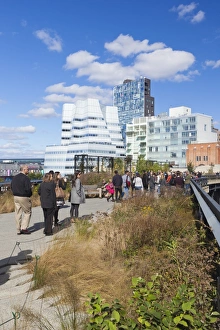 City Living Prints: People walking on the High Line, a one mile New York City park, New York