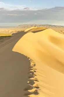 People walking on Khongor sand dunes in Gobi Gurvan Saikhan National Park, Sevrei district