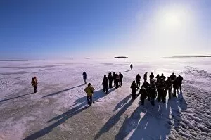 People walking on pack ice, Gulf of Bothnia, Lapland, Sweden, Scandinavia, Europe