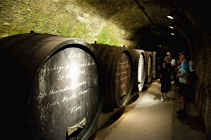 Niederosterreich Prints: People and wine barrels inside cellar of Loisium Winery, Langelois, Niederosterreich