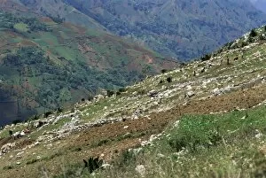People working in steep mountain fields