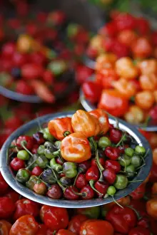 Peppers at Sao Joaquim market, Salvador (Salvador de Bahia), Bahia, Brazil, South America