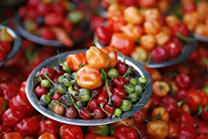 Freshness Prints: Peppers at Sao Joaquim market, Salvador (Salvador de Bahia), Bahia, Brazil, South America