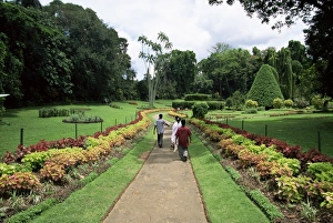 Sinelese Prints: Peradeniya Botanical Gardens