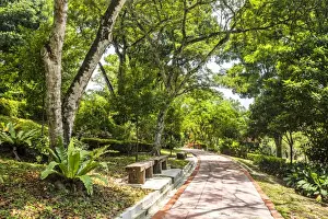 Botanical Garden Prints: Perdana Botanical Garden, Tun Abdul Razak Heritage Park