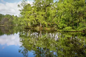 Woodlands Prints: Perfect reflections in the still waters at High Dam Tarn