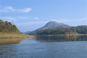 Thekkady Prints: Periyar Wildlife Sanctuary