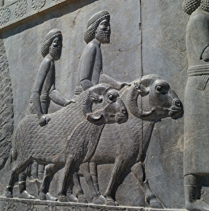 Persepolis