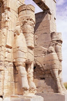 Preceding Collection: Persepolis
