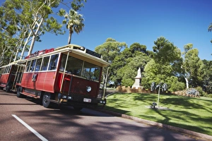 Trams Prints: Perth tourist tram in Kings Park, Perth, Western Australia, Australia, Pacific