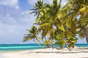 The Grenadines Prints: Petit Bateau, Tobago Cays, The Grenadines, St. Vincent and The Grenadines, West Indies