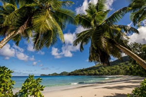 Indian Culture Gallery: Petit Police Bay Beach, Mahe, Republic of Seychelles, Indian Ocean, Africa