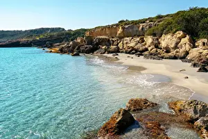 Seashore Prints: Petrified forest, Agia Marina, Agios Nikolaos Geopark