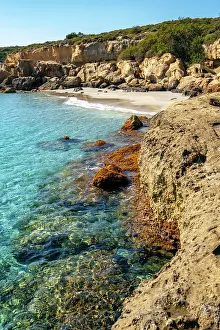 Gems Prints: Petrified forest, Agia Marina, Agios Nikolaos Geopark