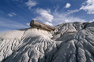 Petrified Forest National Park, Arizona, United States of America (U