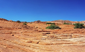 Layers Prints: Petrified sand dunes, White Canyon State Park