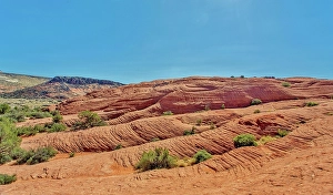 Endless Prints: Petrified sand dunes, White Canyon State Park