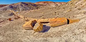 One of the few petrified trees almost intact, The Onyx Bridge in Petrified Forest