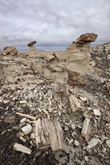 San Juan Basin Prints: Petrified wood in the badlands on a cloudy day