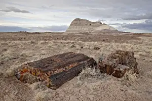 Prehistoric Era Prints: Petrified wood and an eroded hill, Petrified Forest National Park, Arizona