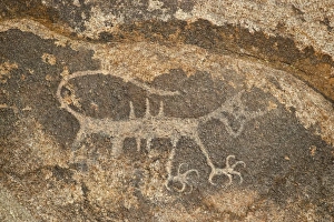 Images Dated 10th December 2008: Petroglyph, Alabama Hills, Inyo National Forest, California, United States of America