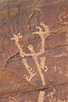 Gold Butte Prints: Petroglyph, Gold Butte, Nevada, United States of America, North America