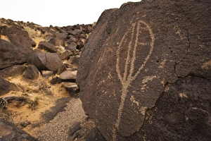 Images Dated 27th March 2009: Petroglyph National Monument, Albuquerque, New Mexico, United States of America