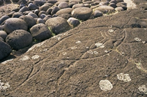 Petroglyph Prints: Petroglyph of tuna fish, Ahu Tongariki, Easter Island, Chile, Pacific