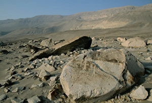 Petroglyphs
