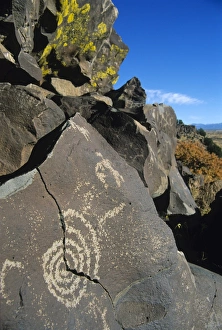 Images Dated 18th January 2000: Petroglyphs