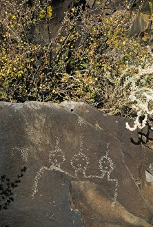 Images Dated 18th January 2000: Petroglyphs