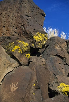 Images Dated 18th January 2000: Petroglyphs