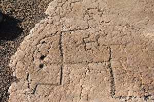 Images Dated 23rd March 2008: Petroglyphs, Big Island, Hawaiian Islands, United States of America, Pacific