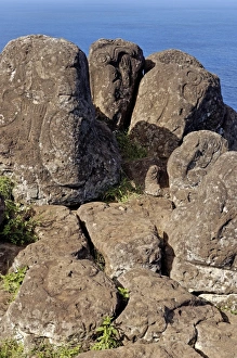 Petroglyphs with birdman images beside lake in crater, Orongo, Easter Island