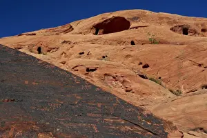 Anasazi Prints: Petroglyphs drawn in sandstone by Anasazi Indians around 500 AD