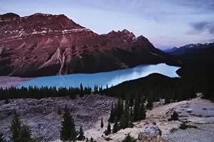 Images Dated 21st September 2009: Peyto Lake, Banff National Park, UNESCO World Heritage Site, Rocky Mountains