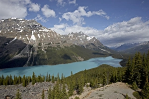 Images Dated 28th June 2009: Peyto Lake, Banff National Park, UNESCO World Heritage Site, Rocky Mountains