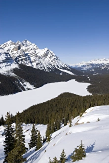 Images Dated 22nd February 2008: Peyto Lake, Bow Summit, Banff National Park, UNESCO World Heritage Site