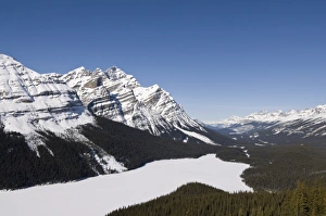 Images Dated 22nd February 2008: Peyto Lake, Bow Summit, Banff National Park, UNESCO World Heritage Site
