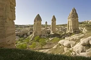 Images Dated 20th April 2008: Phallic pillars known as fairy chimneys in the valley known as Love Valley near Goreme in Cappadocia, Anatolia