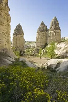 Phallic pillars known as fairy chimneys in the valley known as Love Valley near Goreme in Cappadocia, Anatolia, Turkey