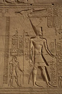 Relief Prints: Pharaoh, Exterior Reliefs, Temple of Hathor, Dendera, Qena, Egypt, North Africa, Africa