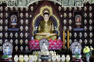 Chau Doc Prints: Phat Quang Buddhist Temple, Siddhartha Gautama (the Shakyamuni Buddha) Chau Doc