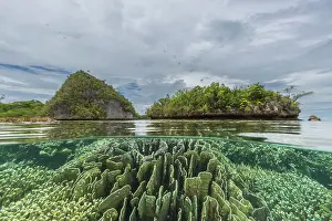 Surface Level Prints: Above and below photo in the crystal clear water in the shallow reefs off Wayag Bay