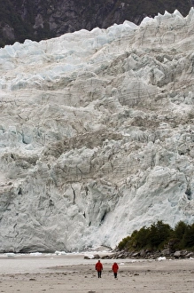Darwin Prints: Pia Glacier, Beagle Channel, Darwin National Park, Tierra del Fuego, Patagonia