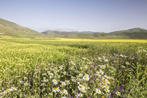 Umbria Prints: The Piano Grande in the Monti Sibillini, Umbria, Italy, Europe