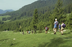 Walkers Prints: Piatra Craiului Mountains, Carpathians, Transylvania, Romania, Europe