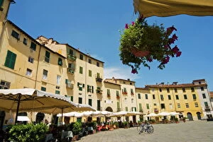 Images Dated 21st June 2008: Piazza Anfiteatro, Lucca, Tuscany, Italy, Europe