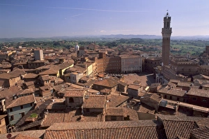 Palazzo Pubblico Prints: Piazza del Campo and Palazzo Pubblico