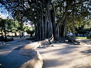 Piazza Marina